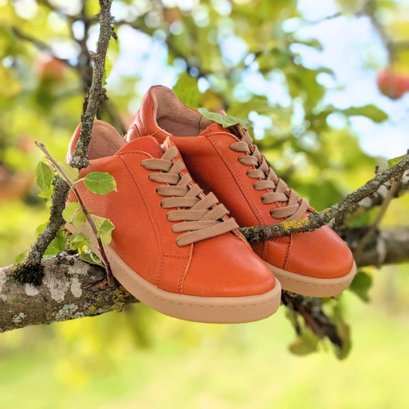Werner 1911 Bio-Sneaker Eistaucher orange im Apfelbaum