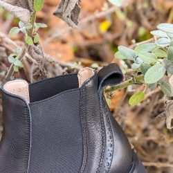 Werner 1911 Bio Chelsea Boot Feldhamster in Schwarz mit Gummizug