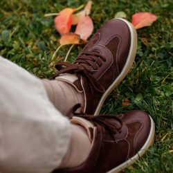 Werner 1911 Bio-Sneaker Eichelhäher