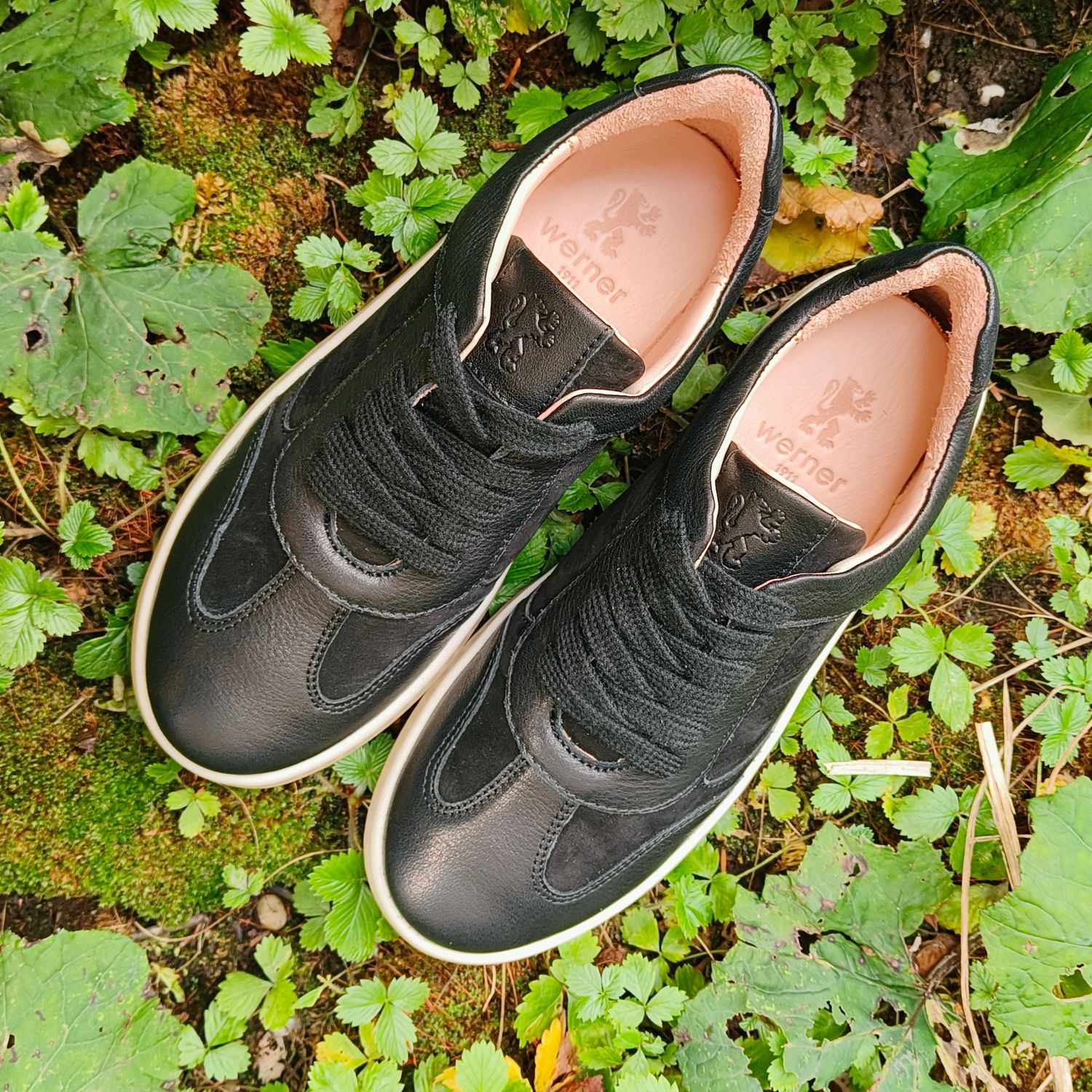 Werner1911 Bio-Sneaker Eichelhäher in schwarz im Grünen