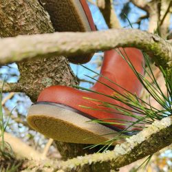 Werner 1911 Bio- Winterstiefel Opossum in kastanienbraun mit leichtem Profil