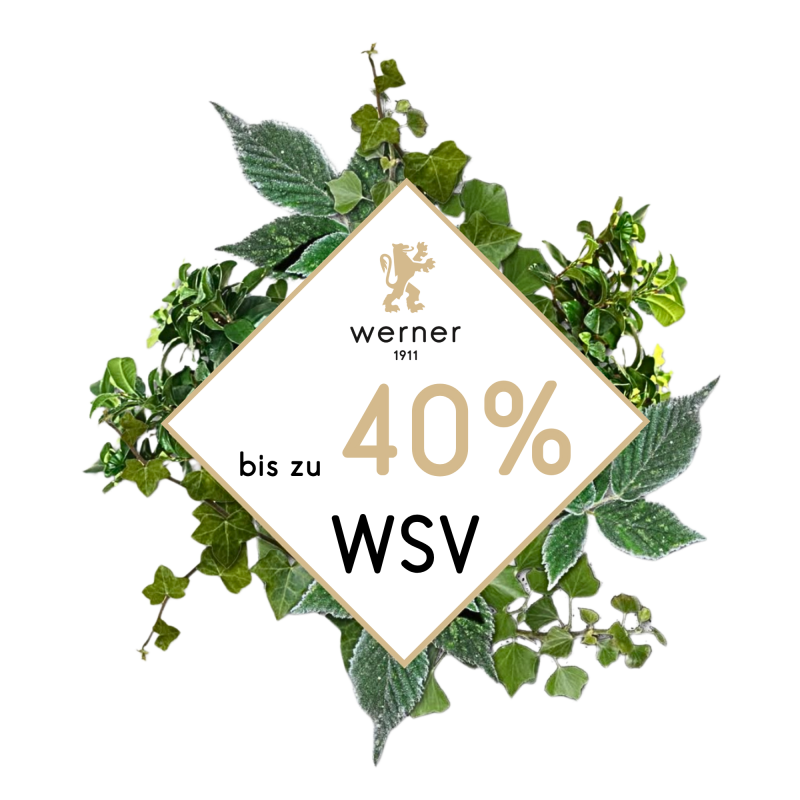 Werner 1911 WSV bis zu 40%