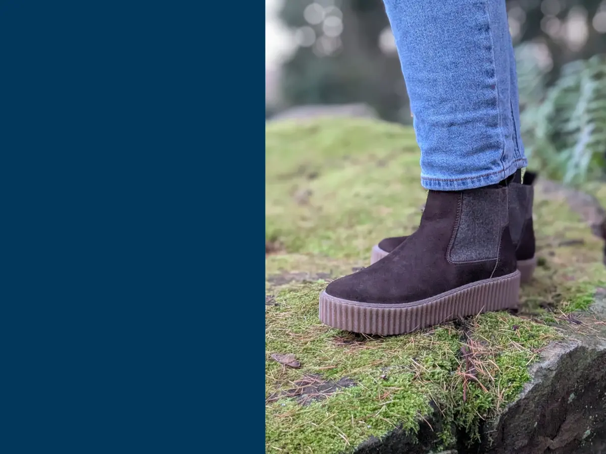 Werner 1911 Banner 1 März26 Tablet