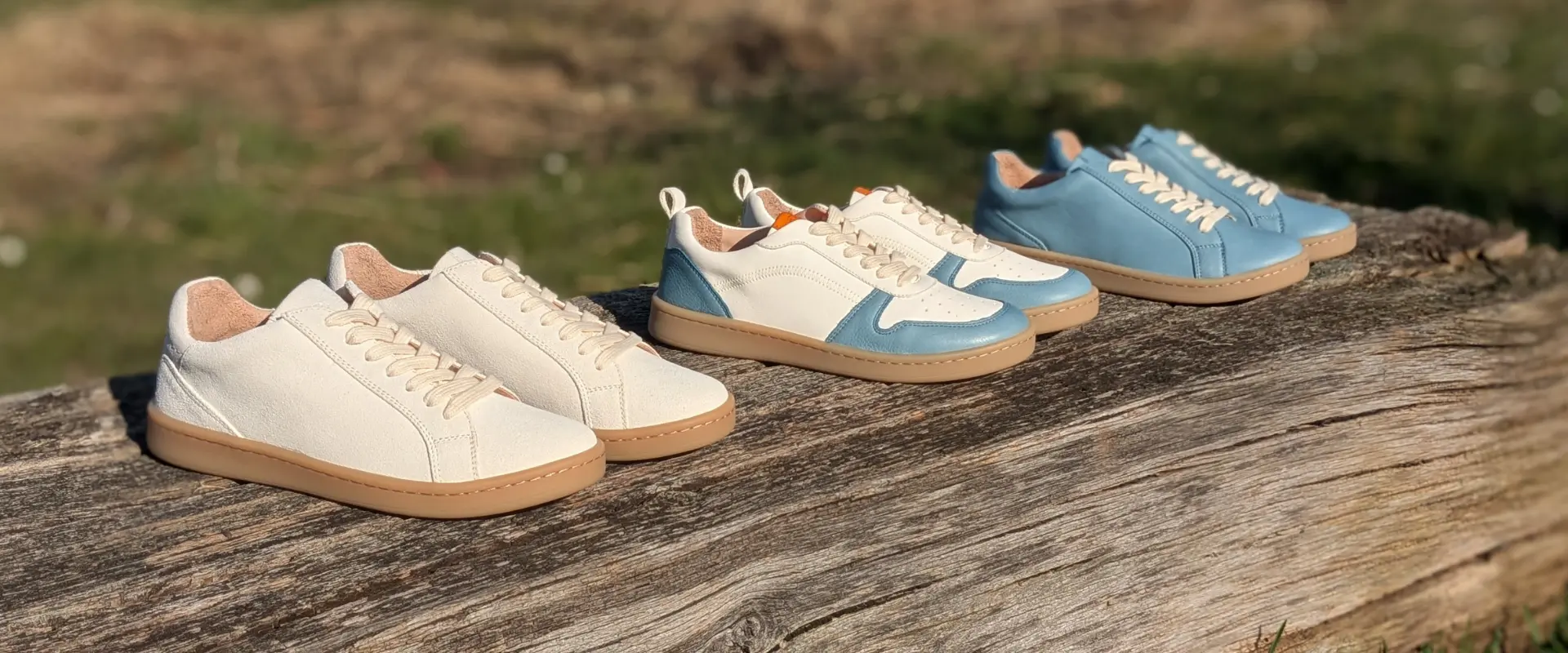 Werner 1911 Banner Übergang