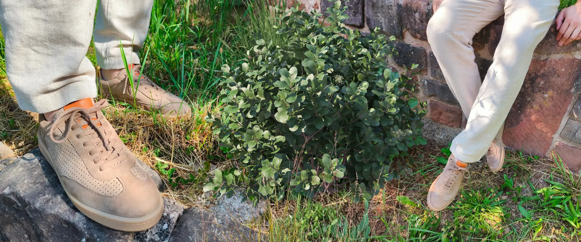 Werner 1911 FS26 Banner Sneaker für Herren Sperber